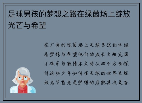 足球男孩的梦想之路在绿茵场上绽放光芒与希望
